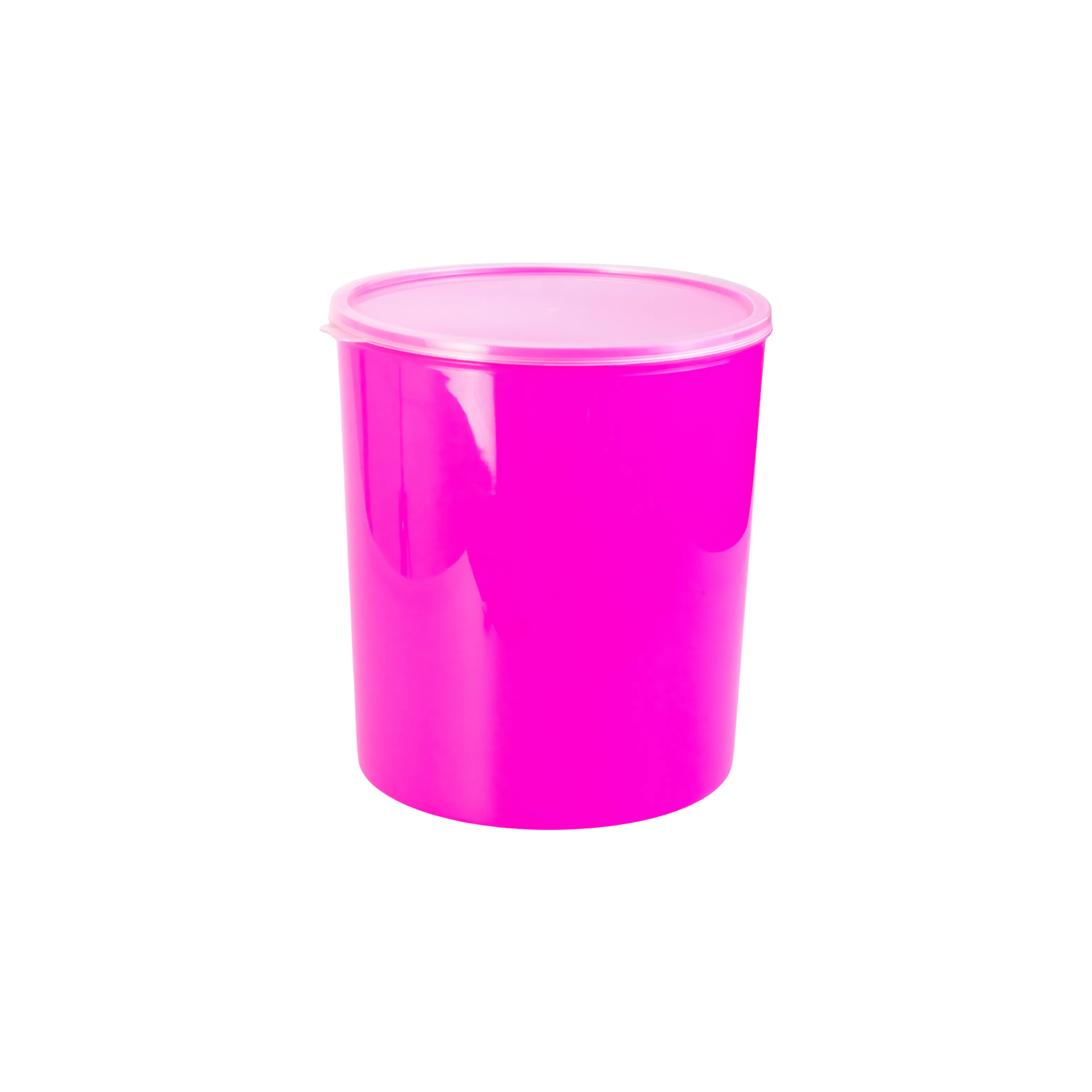 POTE MULTIUSO 4L - NEON